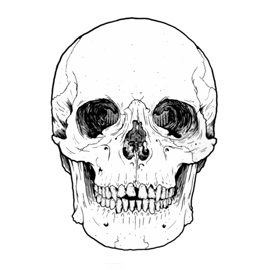 Skull Temporary Tattoo InkoTattoo