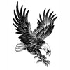 Temporary Tattoo Eagle Bird