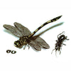 Dragonfly & Ant
