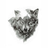 Mountain Wolf