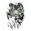 Tiger Attack