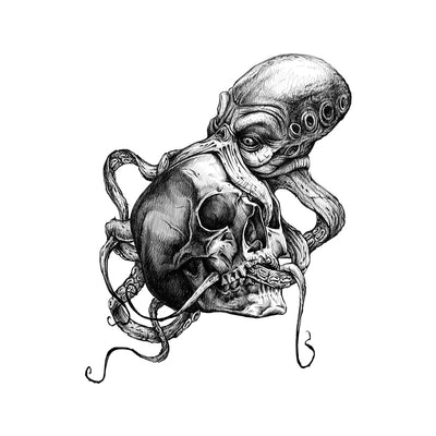 Skull & Octopus