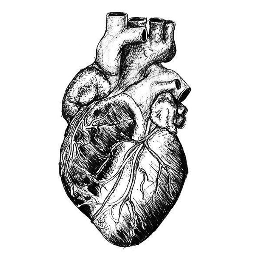 Temporary Tattoo Heart Inkotattoo