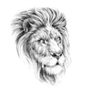 Lion Temporary tattoo 