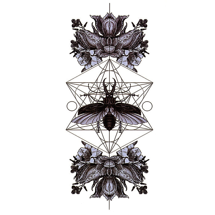 Spiritual Beetle