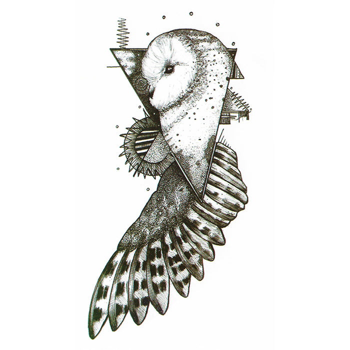Owl & Feathers