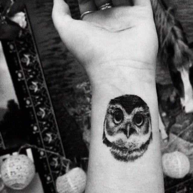 Temporary Tattoo Cat Owl Bird