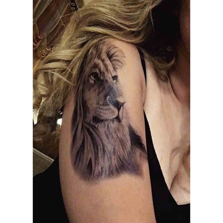 Lion Face